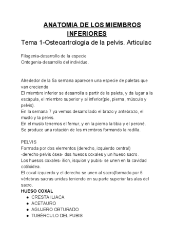 Resumen-AMMII.pdf