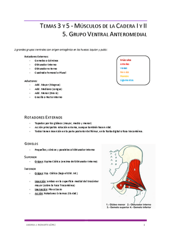 5.-Musculos-Ventrales-de-la-Cadera-II.pdf