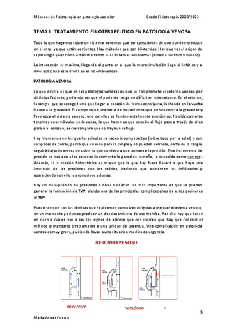 MET-PATOLOGIA-VASC-ENCA.pdf