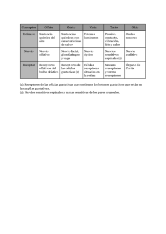 Cuadro-de-los-sentidos.pdf