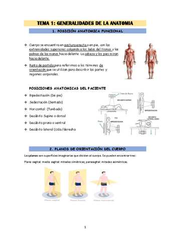 ANAT-T1.pdf