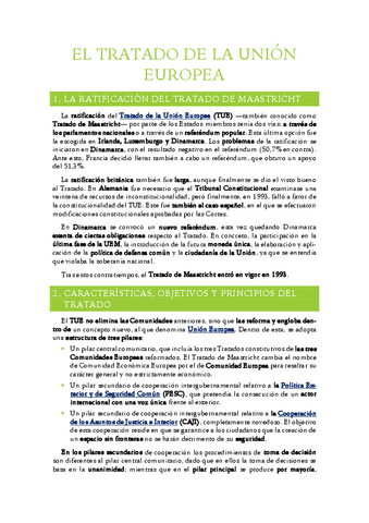 12.-El-Tratado-de-la-Union-Europea.pdf