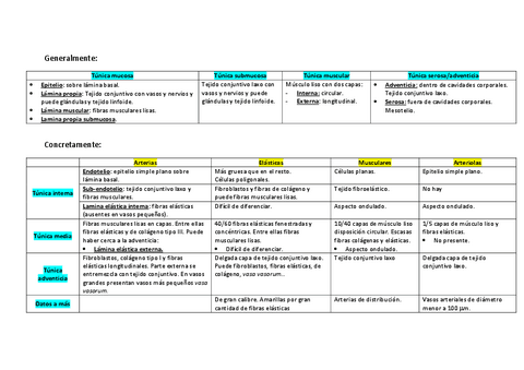 Esquema-organografia.pdf