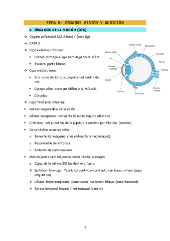 ANAT-T8.pdf