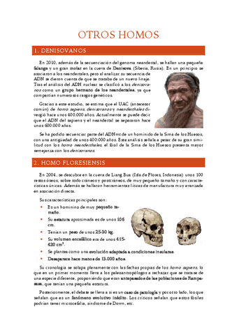 7.-Otros-homos.pdf
