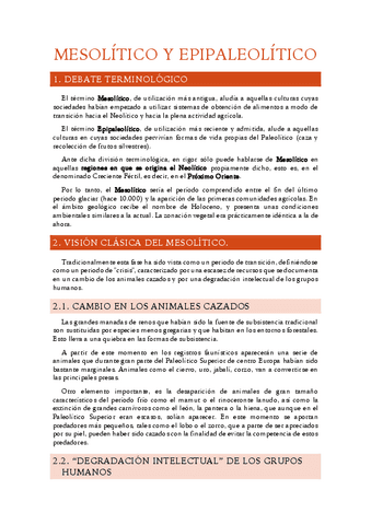 11.-Mesolitico.pdf