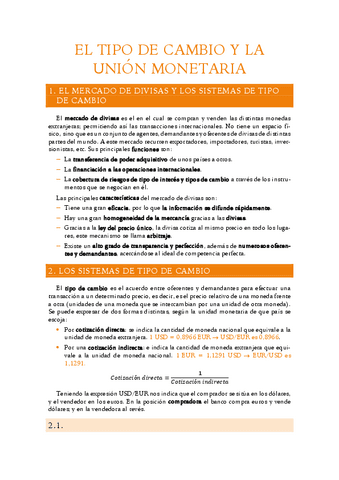 7.-El-tipo-de-cambio-y-la-union-monetaria.pdf