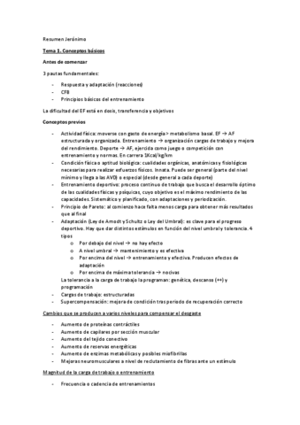 Resumen-Jeronimo.pdf