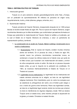 SISTEMAS POLÍTICOS DE PAISES EMERGENTES.pdf
