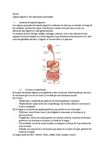 TEMA-9-APARATO-DIGESTIVO.pdf