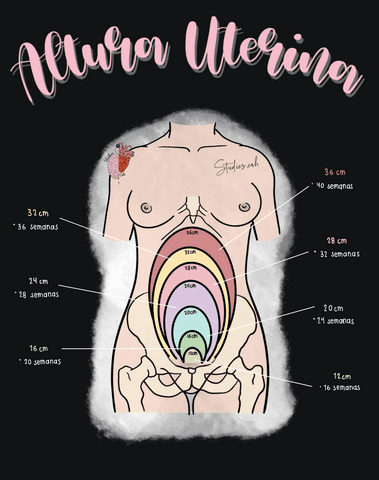Altura-uterina.pdf