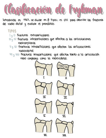 ClasificaciondeFrykman2.pdf