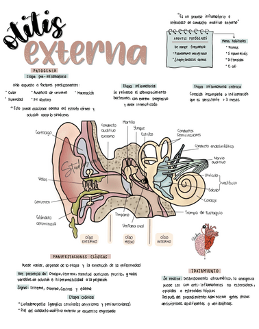 Otitis-Externa.pdf