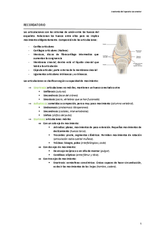 anatomia-aparato-locomotor-pdf.pdf