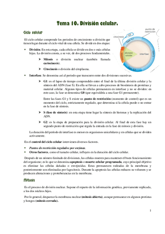 Division-celular..pdf
