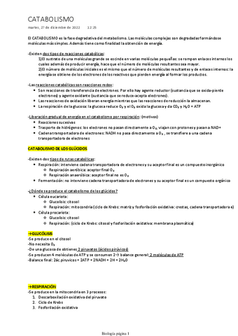CATABOLISMO.pdf