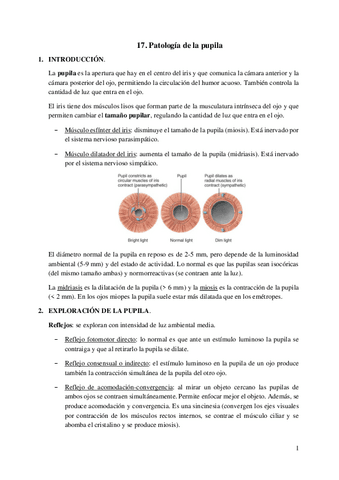 17.-Patologia-de-la-pupila.pdf