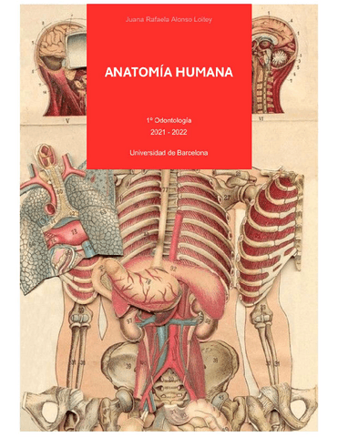 Anatomia-humana.pdf