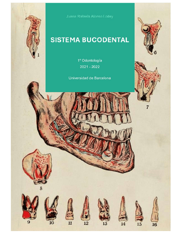 SBDAnatomia-e-histologia.pdf