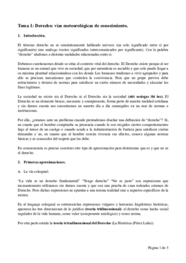 TEMA 1 FILOSOFIA.pdf