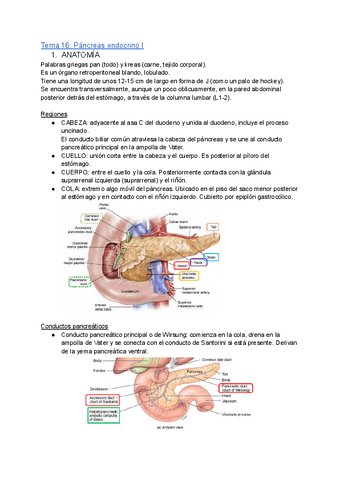 Tema-16.pdf