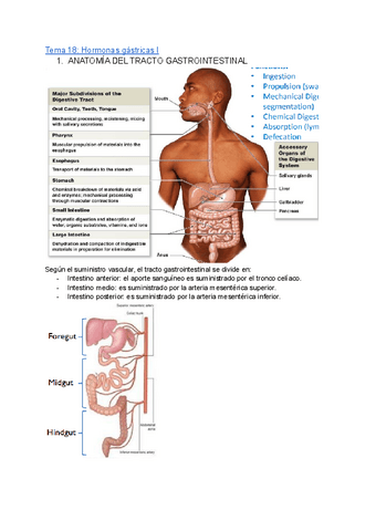 Tema-18.pdf