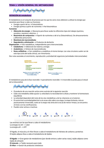 Bioquimica-metabolica-apts.pdf