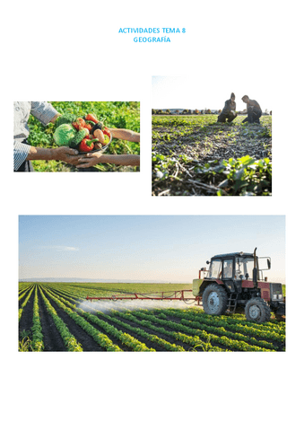 TRABAJO-GEOGRAFIA-TEMA-8.pdf