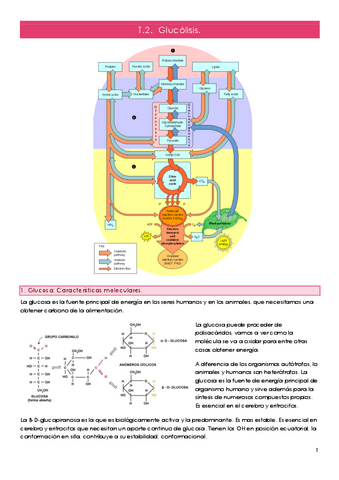 Bioquimica-II-T2.pdf