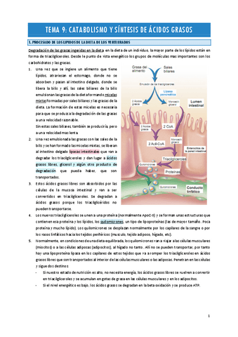 TEMA-9.pdf