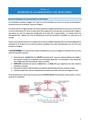 TEMA-12.pdf