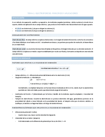TEMA-1-TECNICAS.pdf