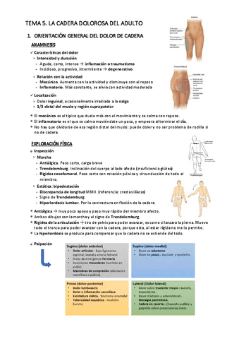 T5.-La-cadera-dolorosa-del-adulto.pdf