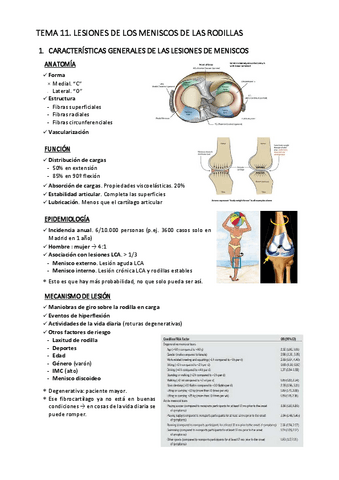 T11.-Lesiones-meniscales-de-rodilla.pdf