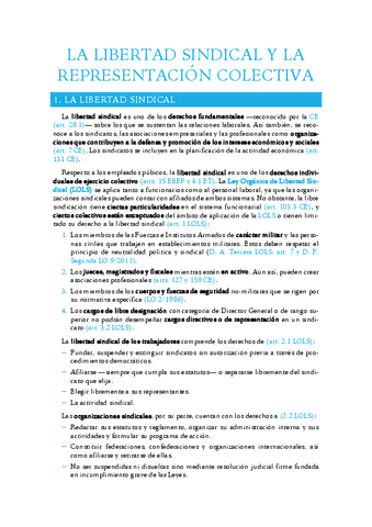 8.-La-libertad-sindical-y-la-representacion-colectiva-del-personal-laboral-de-la-Administracion.pdf