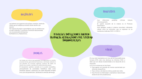 tipos-de-infecciones.pdf