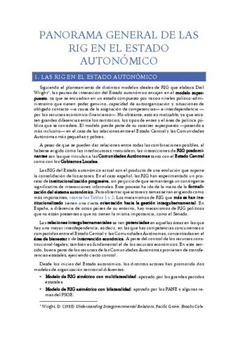 7.-Panorama-general-de-las-RIG-en-el-Estado-autonomico.pdf