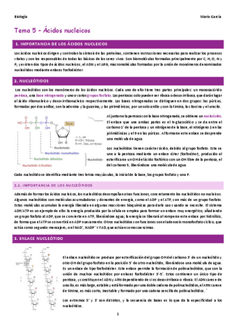 TEMA-5.pdf
