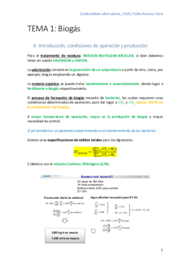 COMBUSTIBLES ALTERNATIVOS_TACE.pdf