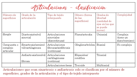 Articulaciones-clasficacion.pdf