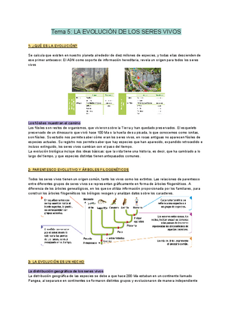 Biologia-Tema-5.pdf