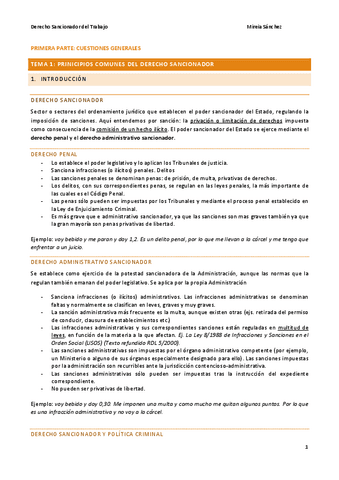 Apuntes COMPLETOS Derecho Sancionador del Trabajo.pdf