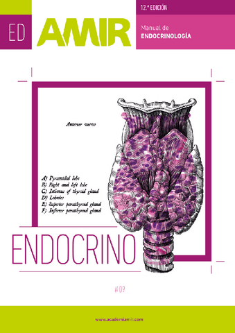 Endocrinologia.pdf