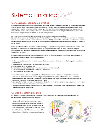 Sistema-Linfatico-.pdf