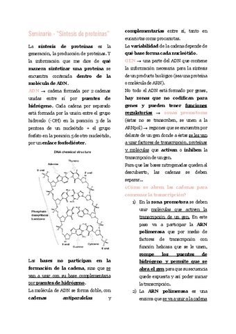 Seminario-Sintesis-de-proteinas.pdf