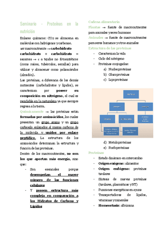 Seminario-Proteinas-en-la-nutricion.pdf