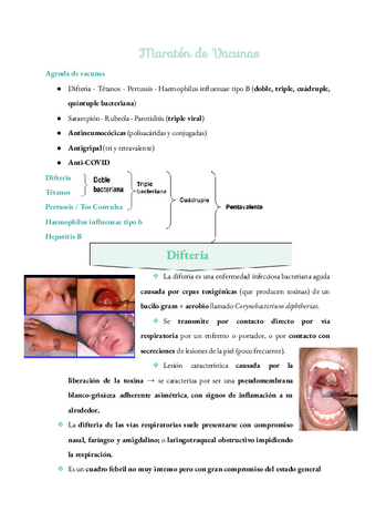 Resumen-completo-Maraton-de-Vacunas-Vacunas-relacionadas-con-germenes-de-transmision-aerea.pdf