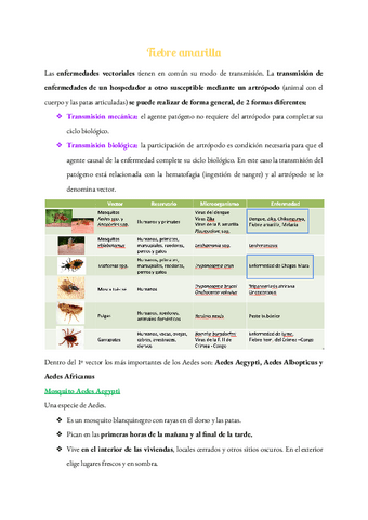 Fiebre-Amarilla-2022.pdf