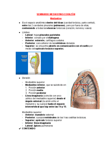 9-Mediastino.pdf