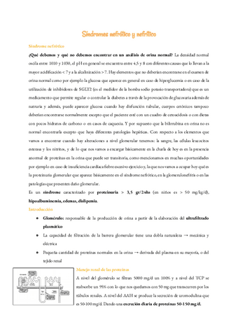 25-Sindromes-nefrotico-y-nefritico.pdf
